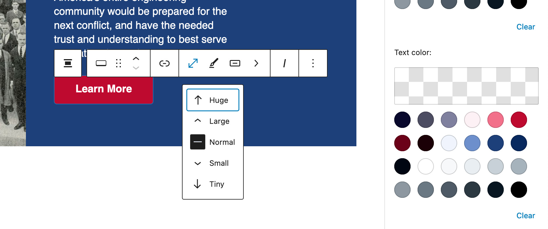 A screenshot of the WordPress editing interface, showing the multitude of customization options for a button component